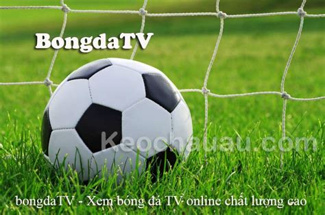 bongdatv info